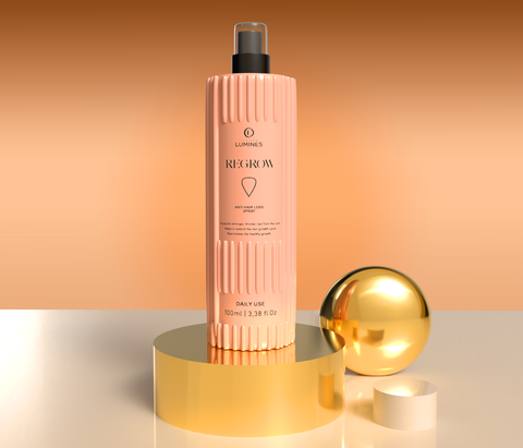 Shampoo and Conditioner Hidrasilk